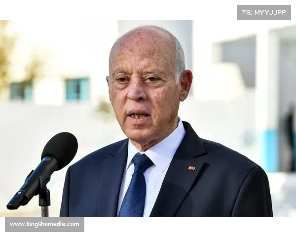 突尼斯队英雄归国总统接见 突尼斯队英雄归国总统接见