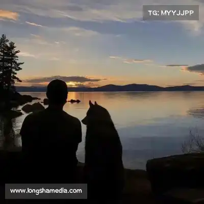 计忱瑶